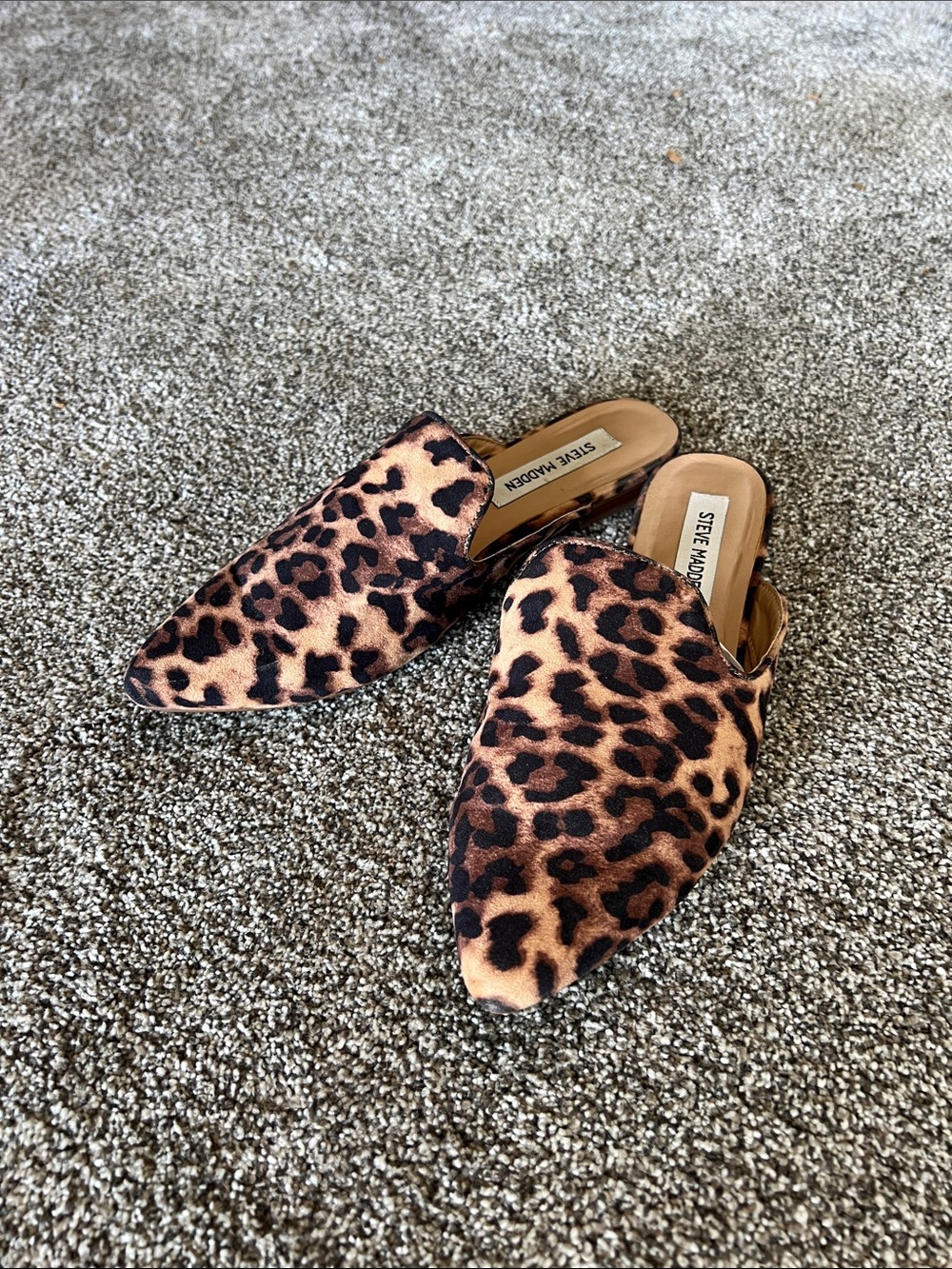 Steve Madden Leopard-Print Pointed Toe Mules - Black & Brown sz 8.5